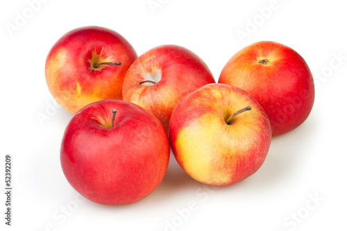 Wallpaper Mural apple group Torontodigital.ca