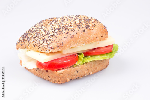 Sandwich with cheese and tomato