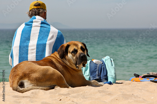 Fototapeta Naklejka Na Ścianę i Meble -  Hund und Herrchen am Strand