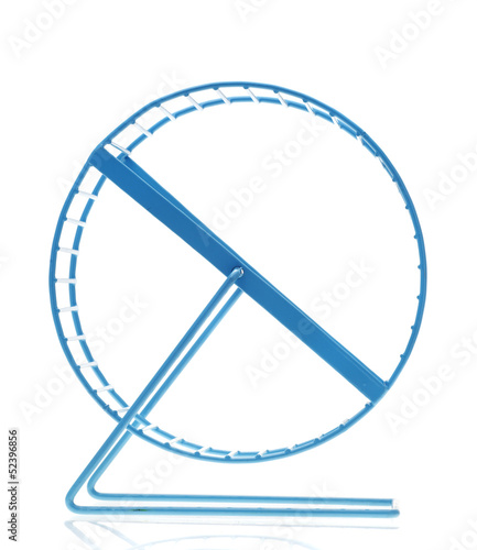 Blue hamster wheel