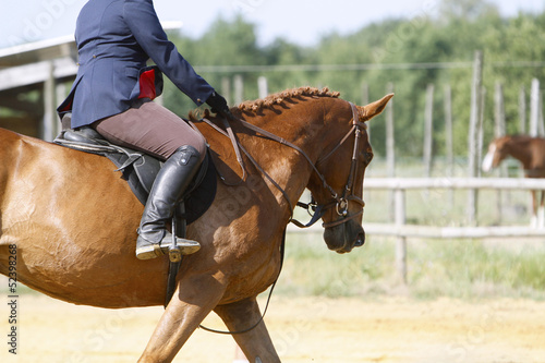Foto Equitation