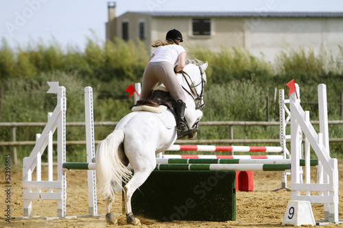 Equitation photo