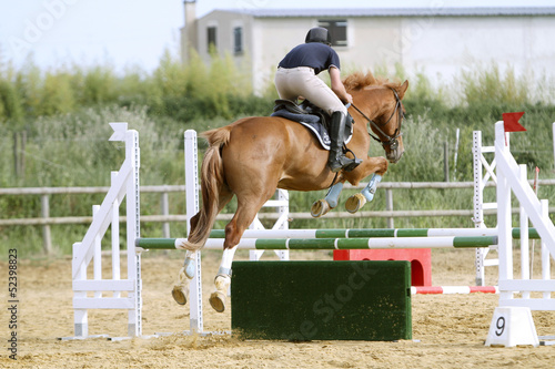 Equitation photo