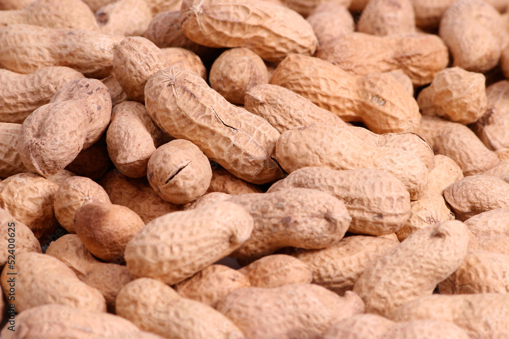 Peanuts Peanuts