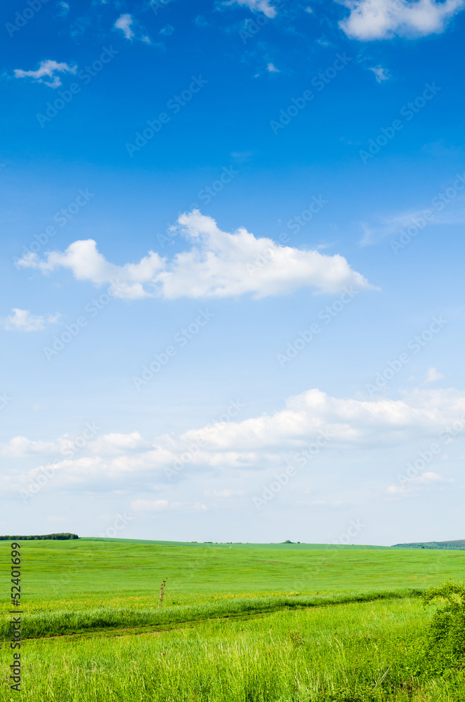 green field background