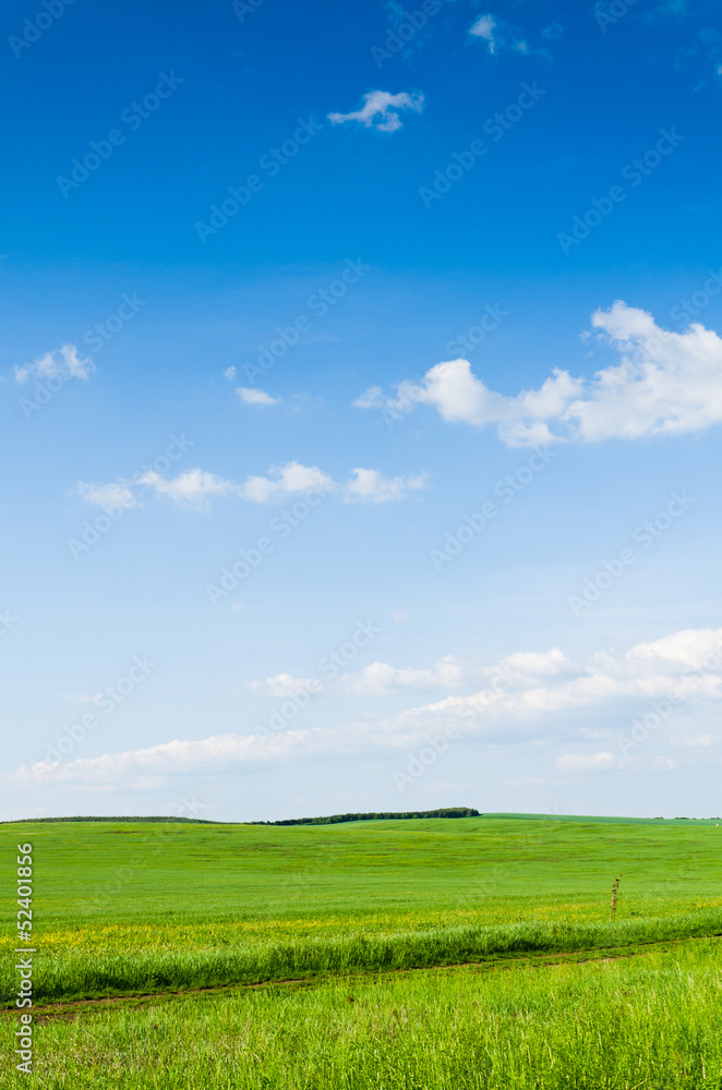 green field background green field background
