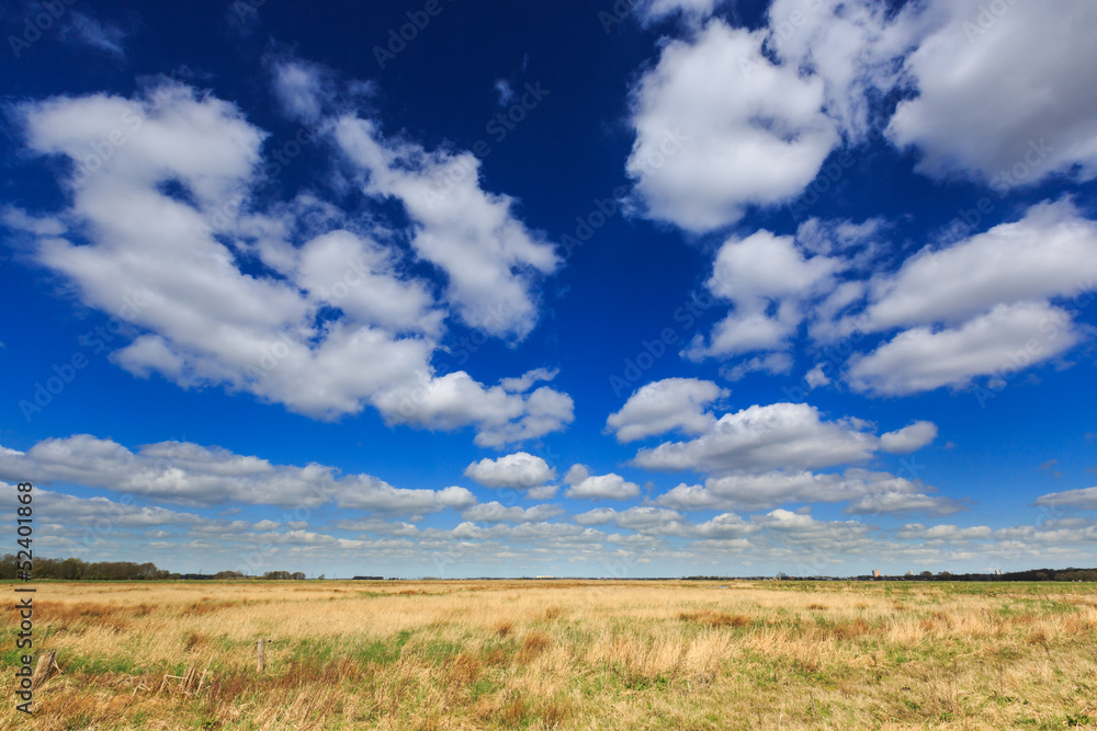 Grass landscape with beautiful cloudscape