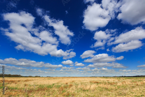 Grass landscape with beautiful cloudscape