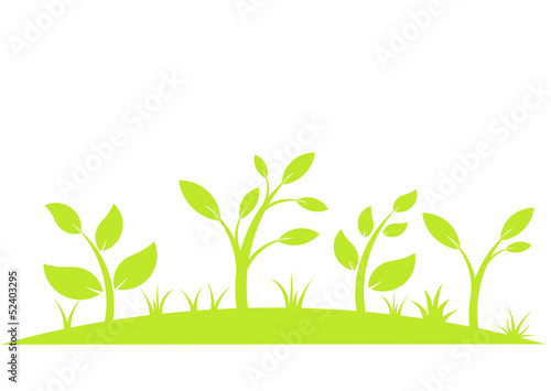 Green plants
