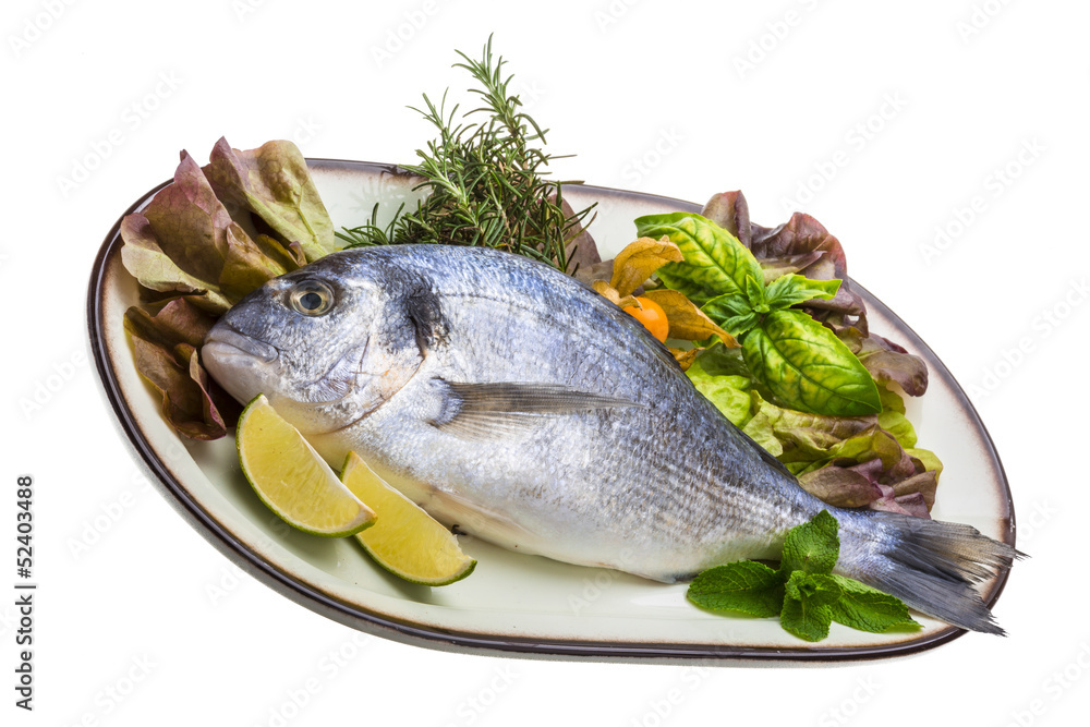 Fresh raw dorada Fresh raw dorada