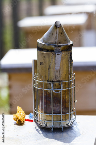 Beekeeping photo