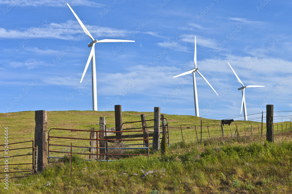Fototapeta premium Wind power Eastern Washington.