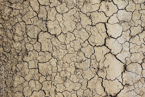 Dry and cracked earth