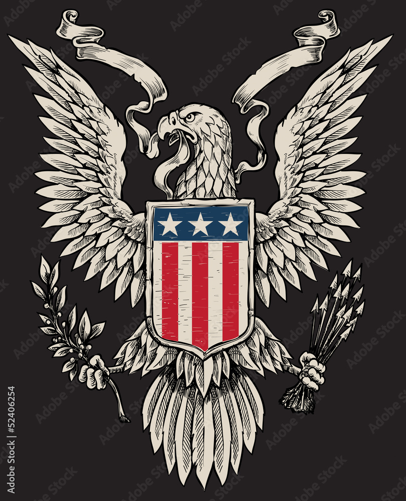 Obraz premium American Eagle Linework Vector