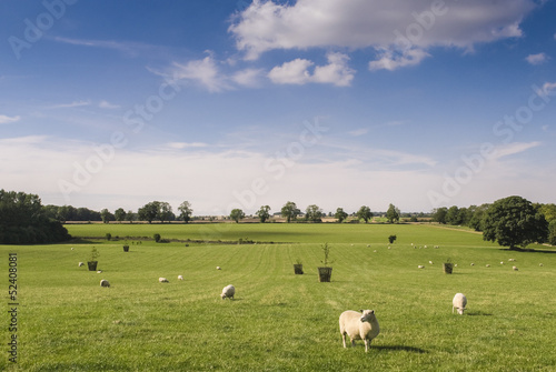 Idyllic rural farmland, Cotswolds UK