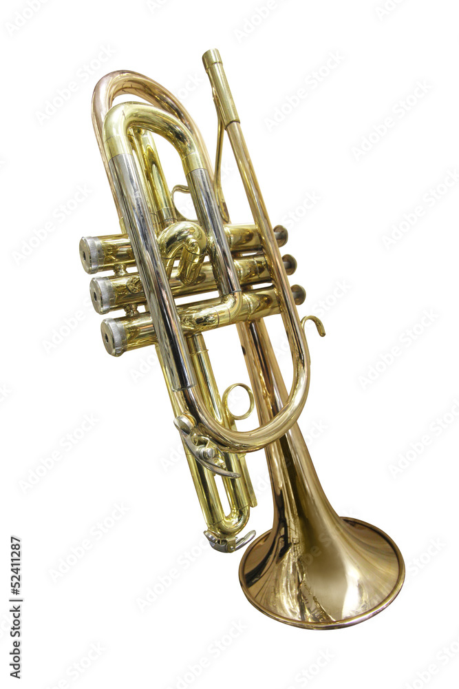 Obraz premium trumpet