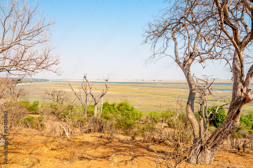 Obraz premium Nature View