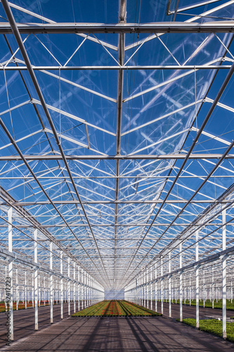 Partly empty greenhouse against a blue sky