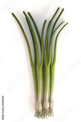3d render of spring onion