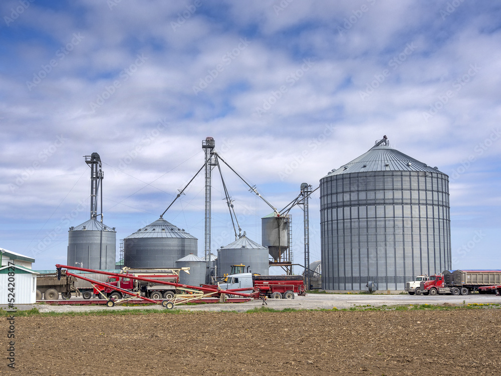 Grain silos on the farm - obrazy, fototapety, plakaty 