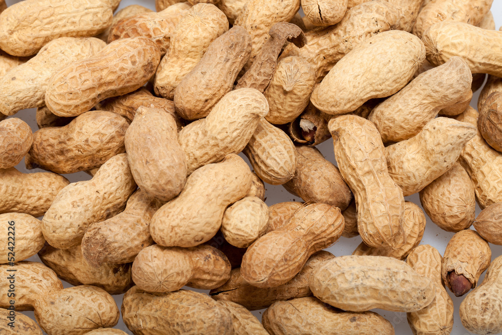 .Dried peanuts in closeup on the white background .Dried peanuts in closeup on the white background