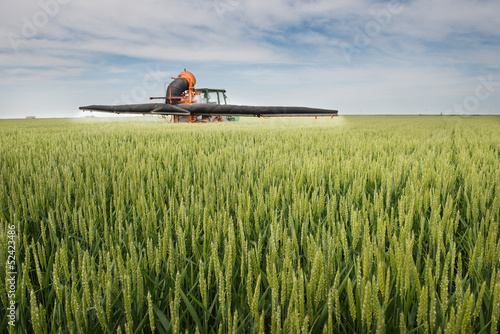 Tractor spraying on the field