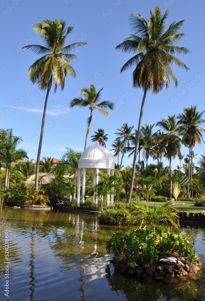 Obraz premium Coconut trees along the garden's pond