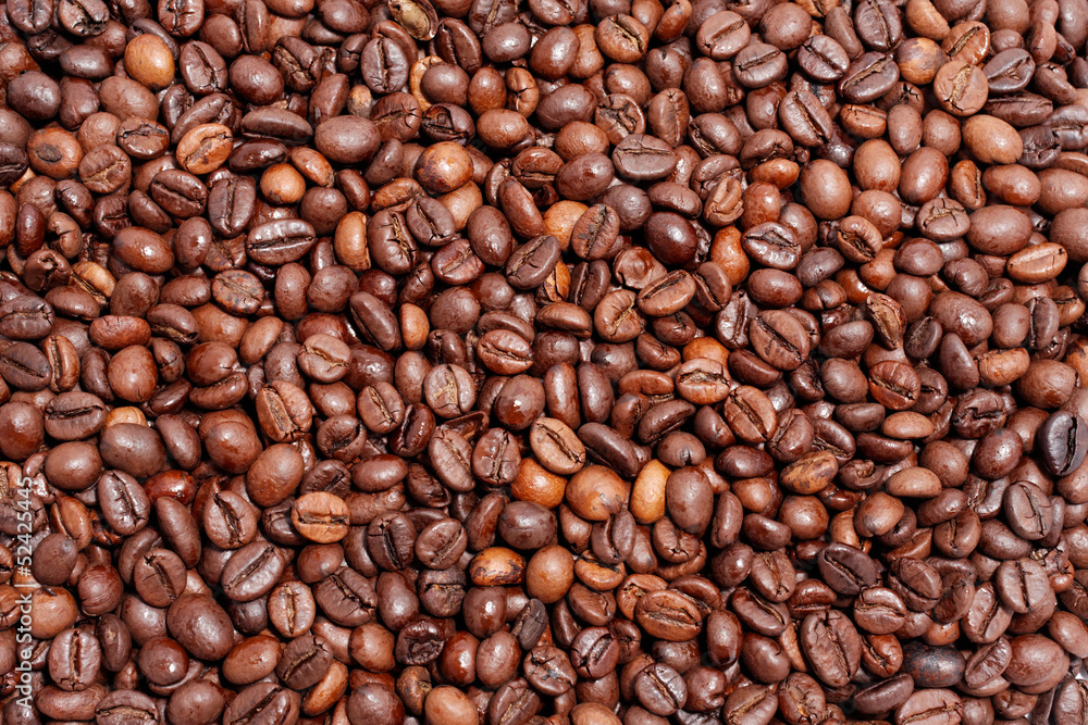 coffee bean background coffee bean background