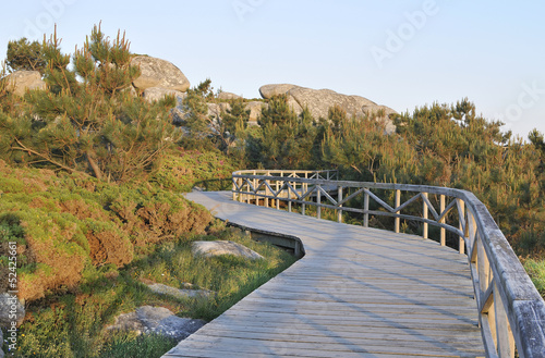 wooden boardwalk by the coastline of the lower estuaries.