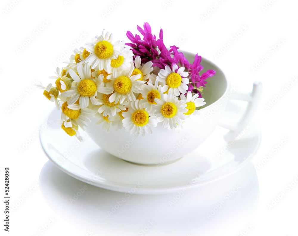 Beautiful wild flowers in .cup, isolated on white Beautiful wild flowers in .cup, isolated on white