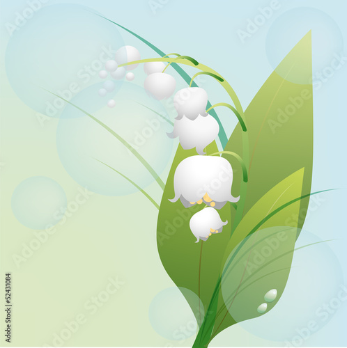 Spring flower lily of the valley