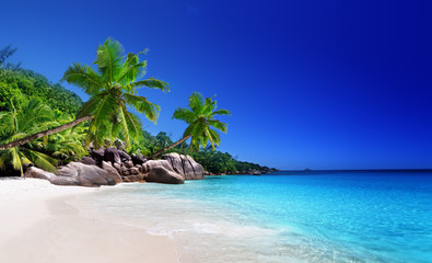 Acrylglasbilder Tropischer Strand Strand auf Praslin auf den Seychellen  © Iakov Kalinin
