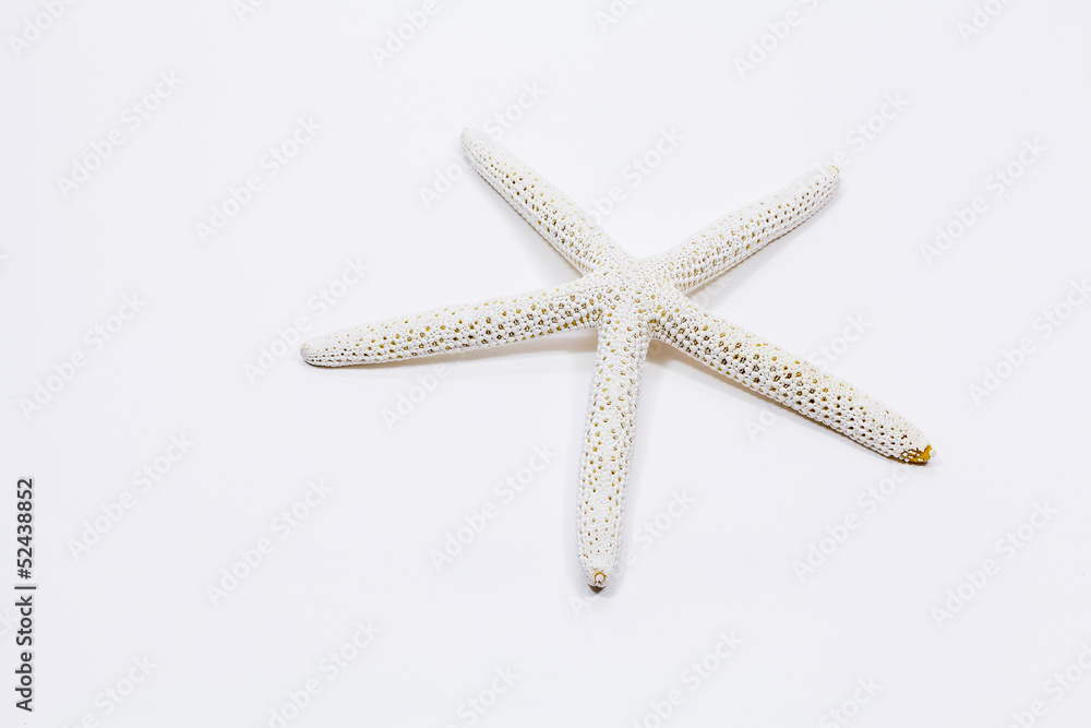 Beautiful starfish on the beach. Beautiful starfish on the beach.