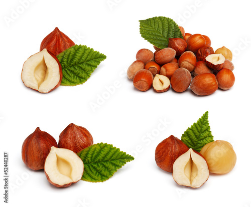 Filbert nut set isolated on white background
