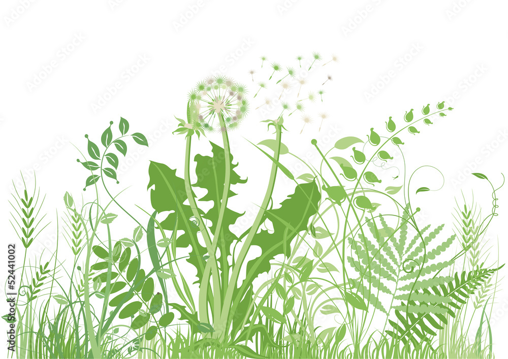 Naklejka premium zielona łąka