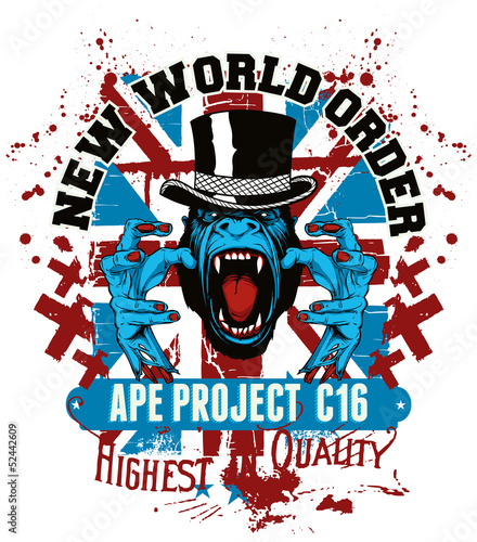 Ape project C16