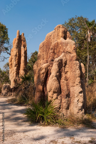 Magnetic termite mounds, Litchfield Natonal Park, Australia