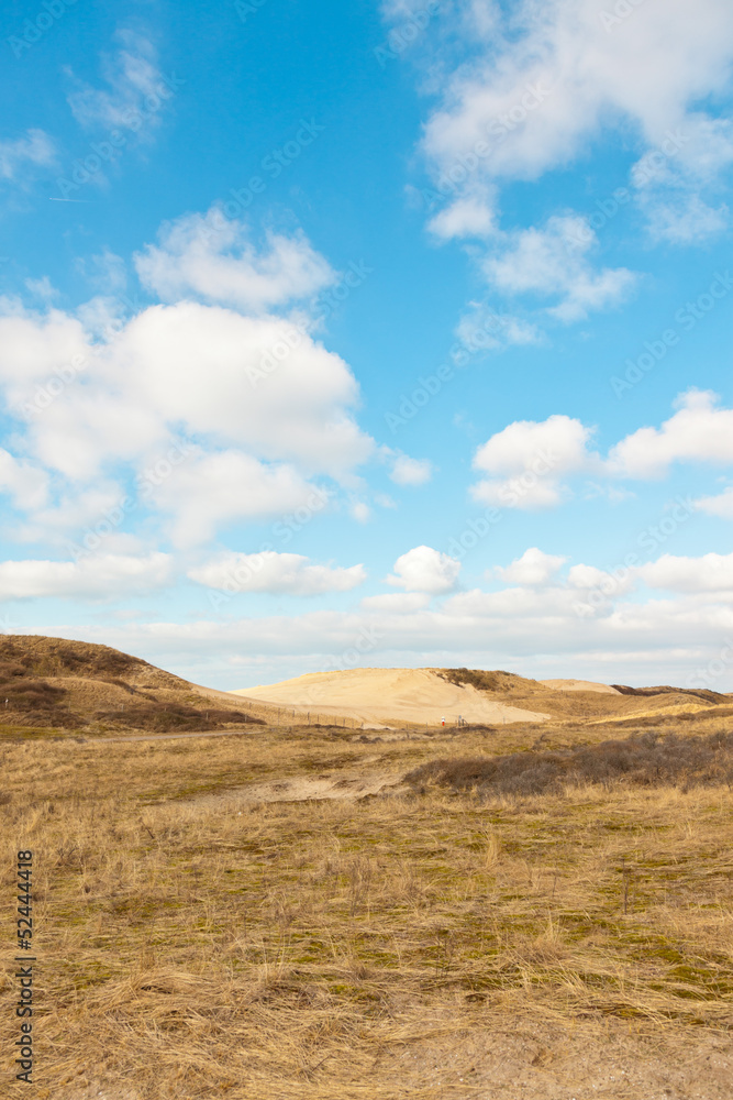 Grassy dune landscape with blue cloudy sky.