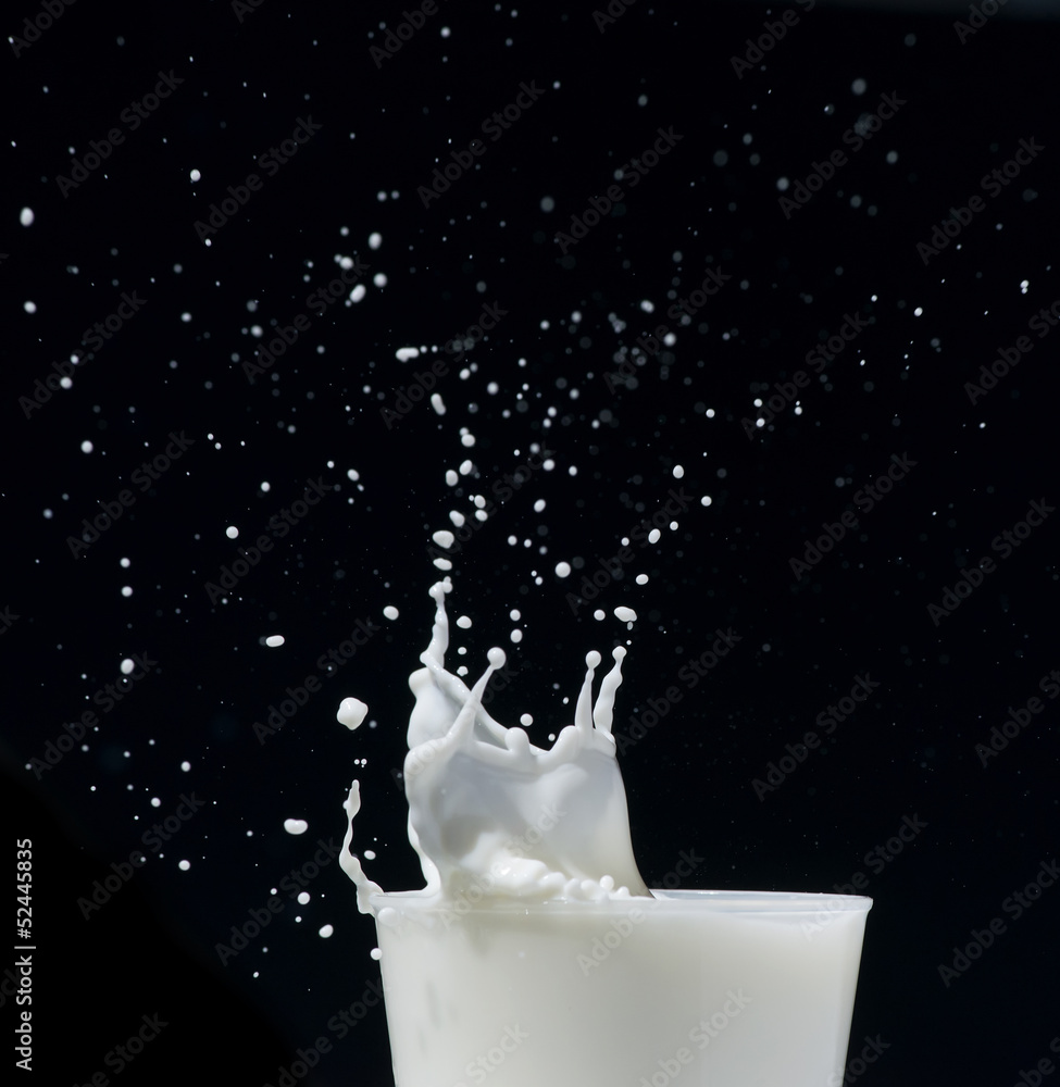 Splashing milk black isolated