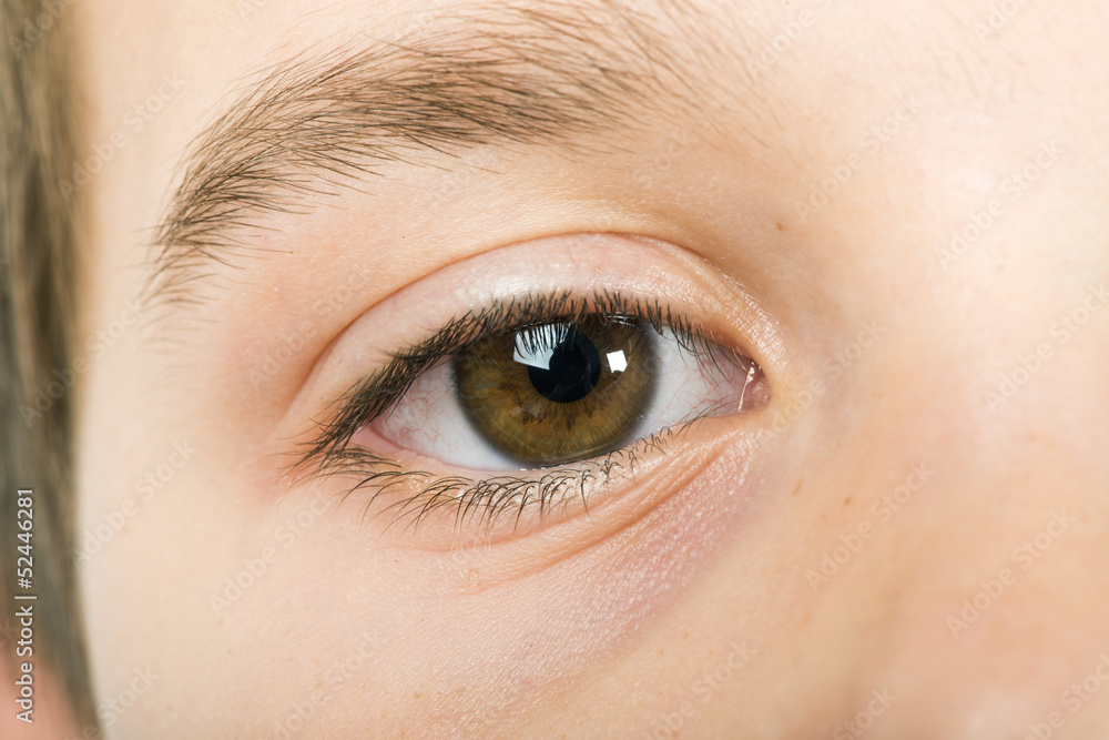 Obraz premium Human eye