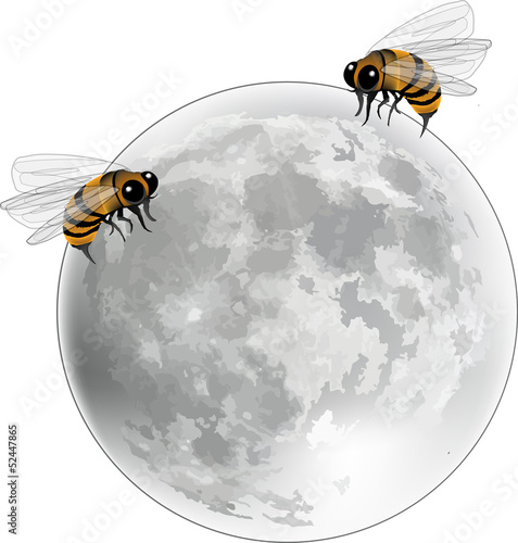 luna di miele