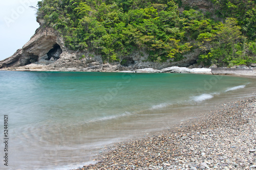 新緑と砂浜