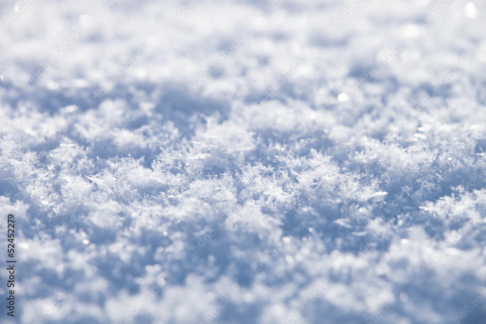 新雪 新雪