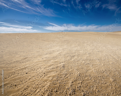desert landscape  dunes  sky in the background