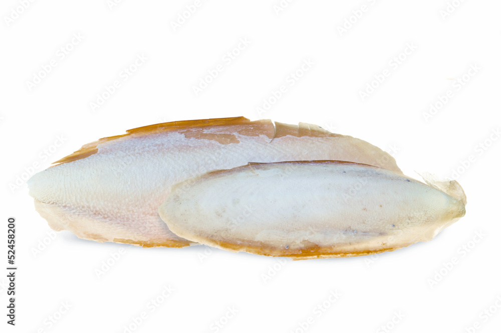 The internal shell or bone of dead cuttlefish