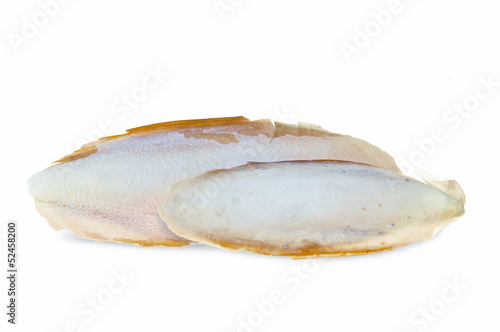 The internal shell or bone of dead cuttlefish