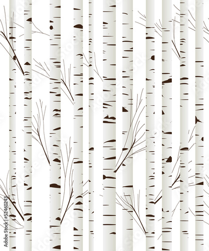 Birchwood background