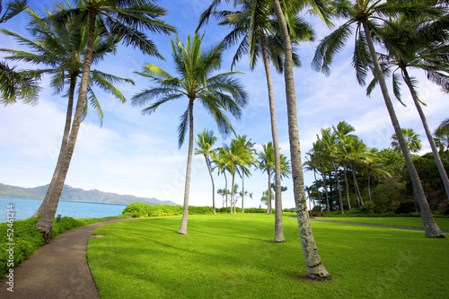 Tropical landscape of Hayman Island, Australia