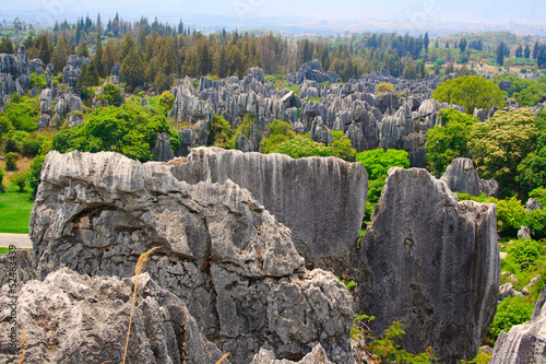 Shilin Stone Forest National Park. Kunming. China. photo