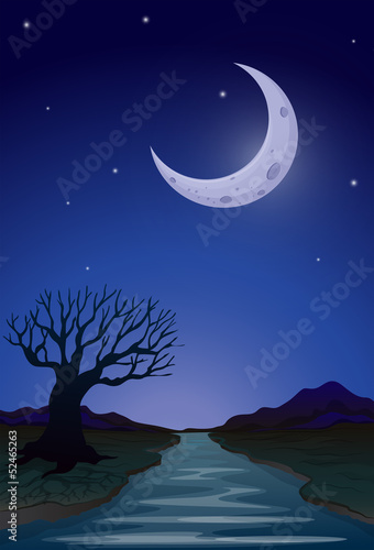 A moonlight view